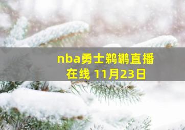 nba勇士鹈鹕直播在线 11月23日